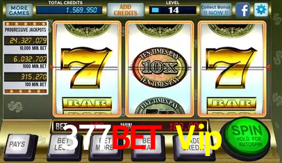 A Experiência Imersiva dos Cassinos Ao Vivo no 377Bet Vip