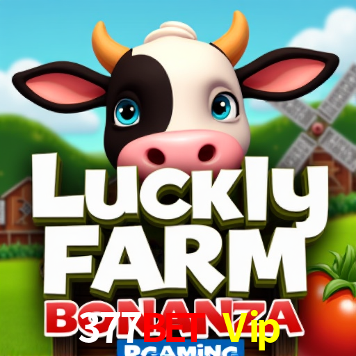 A Experiência Imersiva dos Cassinos Ao Vivo no 377Bet Vip